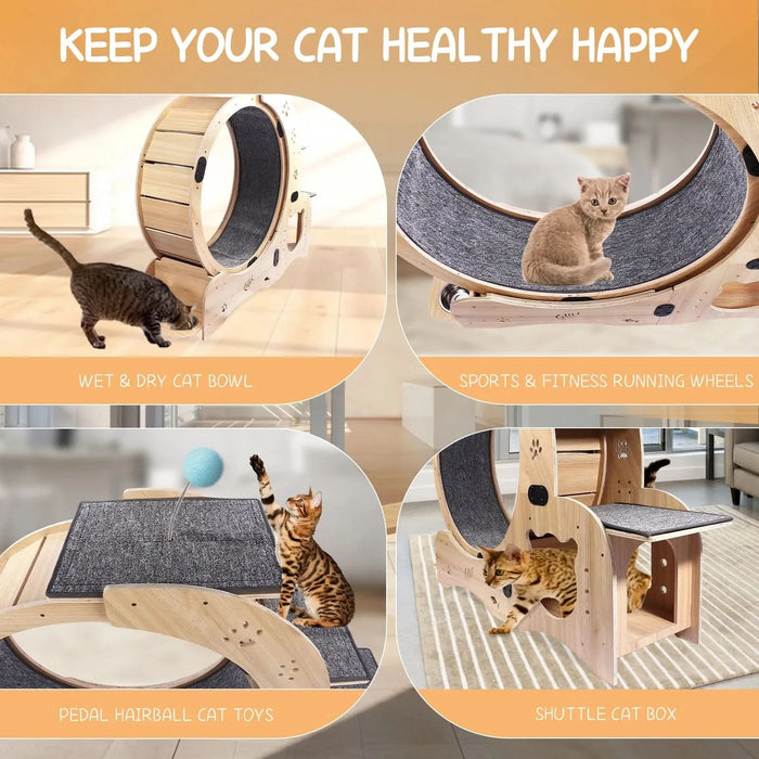 Cat Wheel 6-in-1 Cat Exercise Wheel,Upgraded Cat Wheel Exerciser for Indoor Cats,Large Cat Treadmill,Cat Running Wheel with Silent Wheel,Cat Walking Wheel Cat Furniture Cat Toys- DTY Store