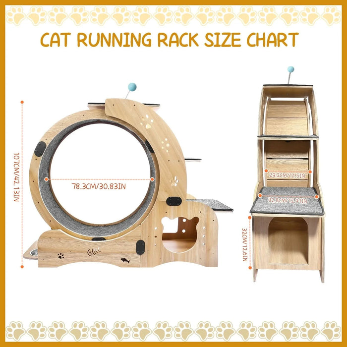 Cat Wheel 6-in-1 Cat Exercise Wheel,Upgraded Cat Wheel Exerciser for Indoor Cats,Large Cat Treadmill,Cat Running Wheel with Silent Wheel,Cat Walking Wheel Cat Furniture Cat Toys - DTY Store