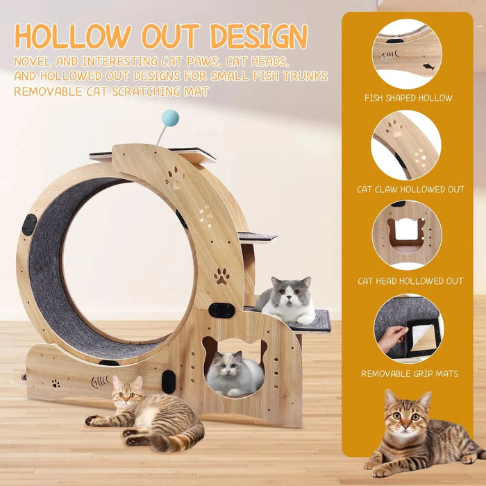 Cat Wheel 6-in-1 Cat Exercise Wheel,Upgraded Cat Wheel Exerciser for Indoor Cats,Large Cat Treadmill,Cat Running Wheel with Silent Wheel,Cat Walking Wheel Cat Furniture Cat Toys - DTY Store