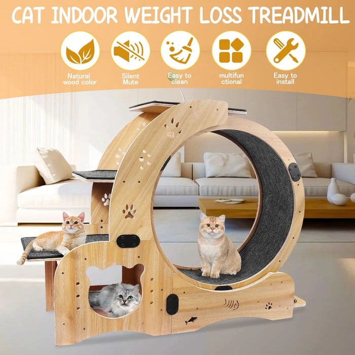 Cat Wheel 6-in-1 Cat Exercise Wheel,Upgraded Cat Wheel Exerciser for Indoor Cats,Large Cat Treadmill,Cat Running Wheel with Silent Wheel,Cat Walking Wheel Cat Furniture Cat Toys - DTY Store