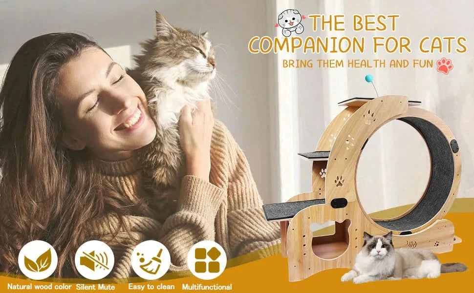 Cat Wheel 6-in-1 Cat Exercise Wheel,Upgraded Cat Wheel Exerciser for Indoor Cats,Large Cat Treadmill,Cat Running Wheel with Silent Wheel,Cat Walking Wheel Cat Furniture Cat Toys - DTY Store