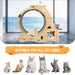 Cat Wheel 6-in-1 Cat Exercise Wheel,Upgraded Cat Wheel Exerciser for Indoor Cats,Large Cat Treadmill,Cat Running Wheel with Silent Wheel,Cat Walking Wheel Cat Furniture Cat Toys - DTY Store