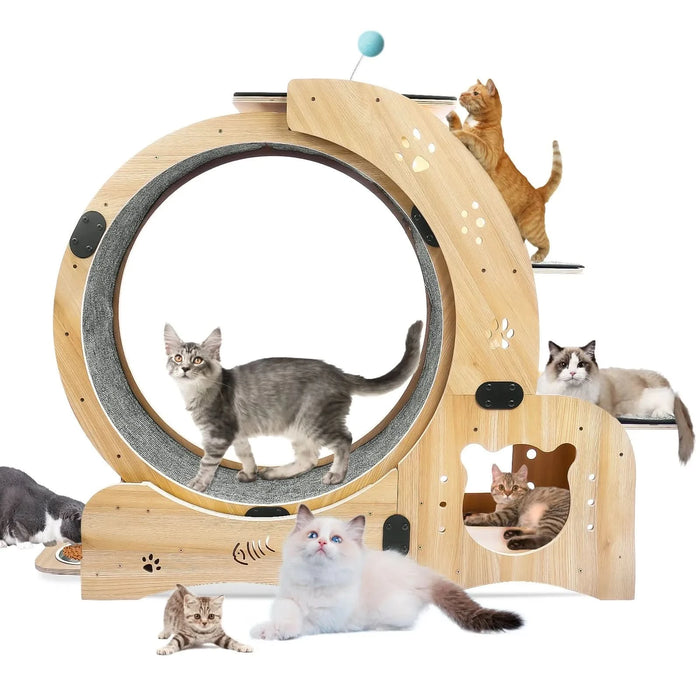 Cat Wheel 6-in-1 Cat Exercise Wheel,Upgraded Cat Wheel Exerciser for Indoor Cats,Large Cat Treadmill,Cat Running Wheel with Silent Wheel,Cat Walking Wheel Cat Furniture Cat Toys - DTY Store