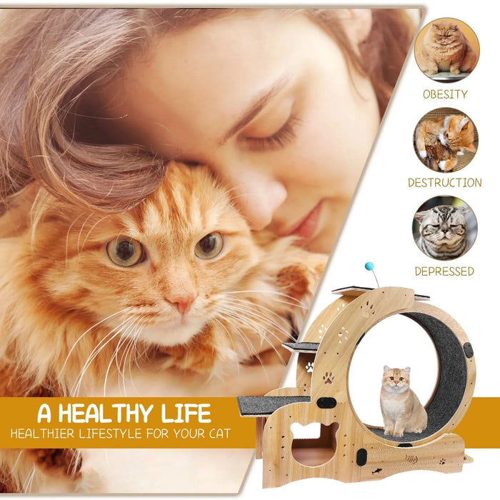 Cat Wheel 6-in-1 Cat Exercise Wheel,Upgraded Cat Wheel Exerciser for Indoor Cats,Large Cat Treadmill,Cat Running Wheel with Silent Wheel,Cat Walking Wheel Cat Furniture Cat Toys - DTY Store