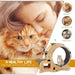 Cat Wheel 6-in-1 Cat Exercise Wheel,Upgraded Cat Wheel Exerciser for Indoor Cats,Large Cat Treadmill,Cat Running Wheel with Silent Wheel,Cat Walking Wheel Cat Furniture Cat Toys - DTY Store