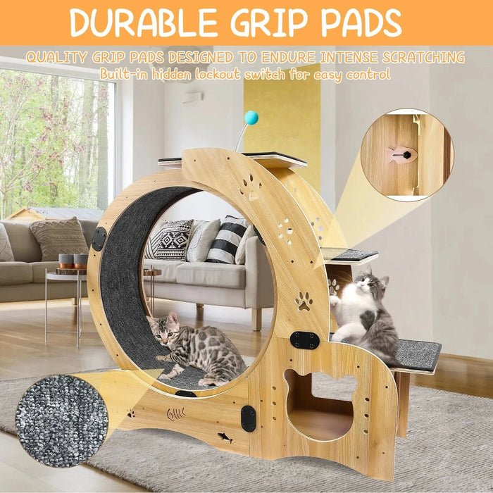 Cat Wheel 6-in-1 Cat Exercise Wheel,Upgraded Cat Wheel Exerciser for Indoor Cats,Large Cat Treadmill,Cat Running Wheel with Silent Wheel,Cat Walking Wheel Cat Furniture Cat Toys - DTY Store