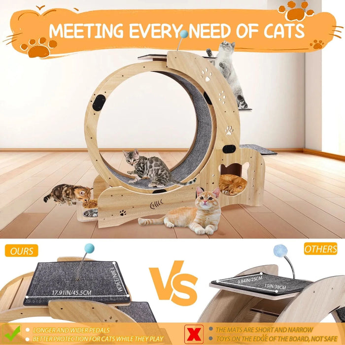 Cat Wheel 6-in-1 Cat Exercise Wheel,Upgraded Cat Wheel Exerciser for Indoor Cats,Large Cat Treadmill,Cat Running Wheel with Silent Wheel,Cat Walking Wheel Cat Furniture Cat Toys - DTY Store