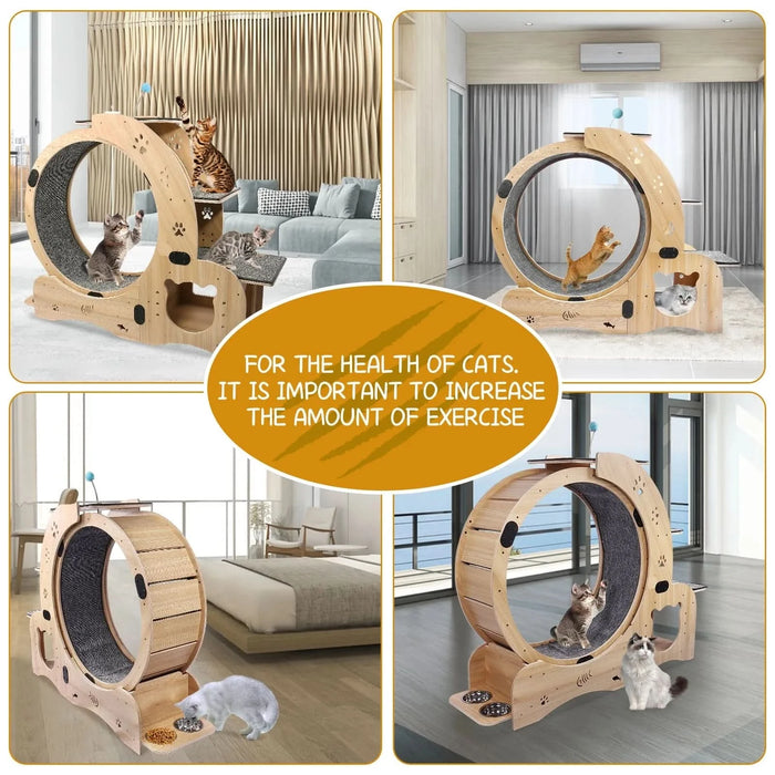 Cat Wheel 6-in-1 Cat Exercise Wheel,Upgraded Cat Wheel Exerciser for Indoor Cats,Large Cat Treadmill,Cat Running Wheel with Silent Wheel,Cat Walking Wheel Cat Furniture Cat Toys Pet Beds & Furniture, Pet Supplies, searchfilter_Pet Supplies| DTY Store
