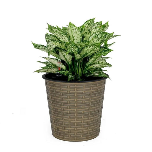 Catleza 10.2" Self-watering Wicker Decor Planter for Indoor and Outdoor - Round Natural -DTYStore