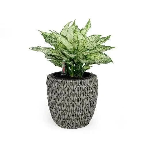 Catleza Self-watering Wicker Planter - Garden Decoration Pot - Round 10.6" Gray -DTYStore