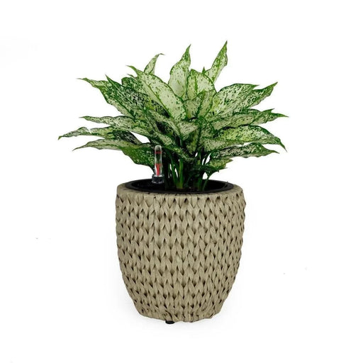 Catleza Self-watering Wicker Planter - Garden Decoration Pot - Round 10.6" Beige -DTYStore