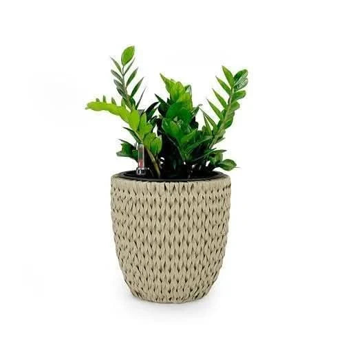 Catleza Self-watering Wicker Planter - Garden Decoration Pot - Round 14.6" Beige -DTYStore