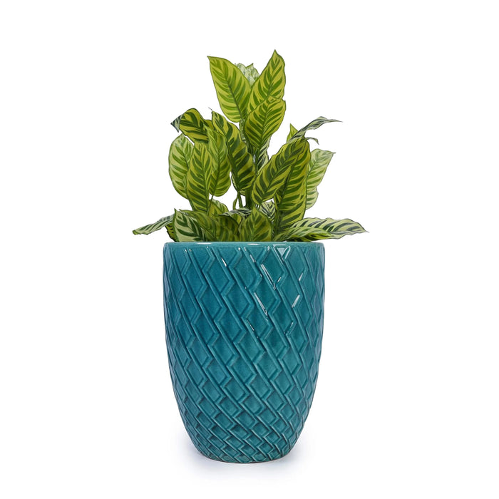 Ceramic Flowerpot, Modern Planter for Patio, Garden, Windowsill - Cyan Default -DTYStore