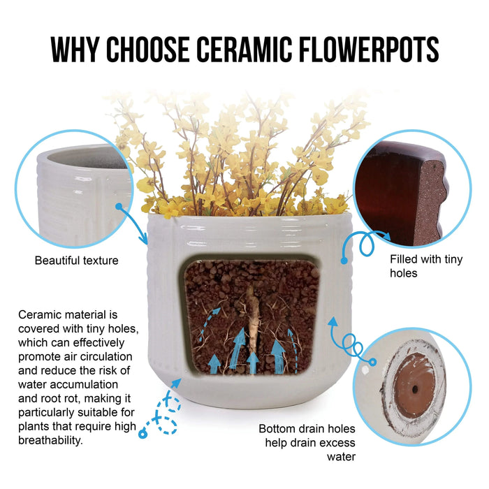 Ceramic Flowerpot, Modern Planter for Patio, Garden, Windowsill - White Default -DTYStore