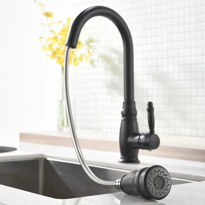 Commercial Black Kitchen Faucet with Pull out Sprayer, Single Handle Single Lever Kitchen Sink Faucet - DTY Store