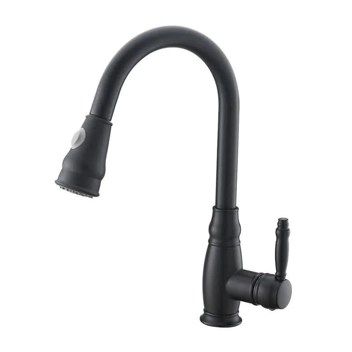 Commercial Black Kitchen Faucet with Pull out Sprayer, Single Handle Single Lever Kitchen Sink Faucet - DTY Store