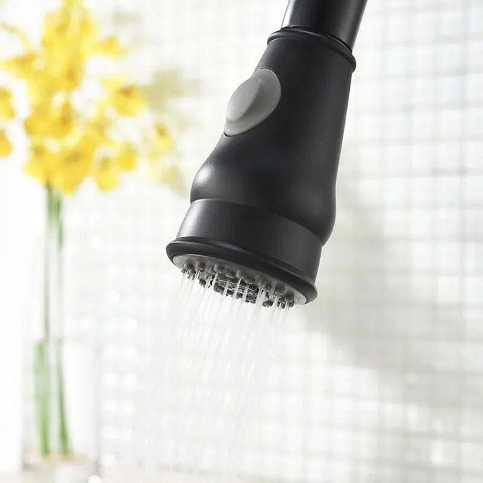 Commercial Black Kitchen Faucet with Pull out Sprayer, Single Handle Single Lever Kitchen Sink Faucet- DTY Store