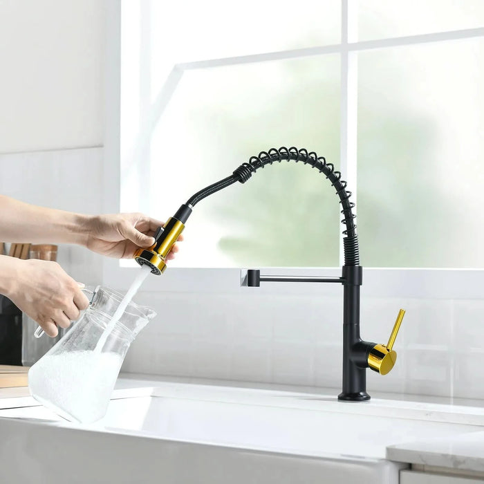 Commercial Black and Gold Kitchen Faucet with Pull Down Sprayer, Single Handle Single Lever Kitchen Sink Faucet - DTY Store