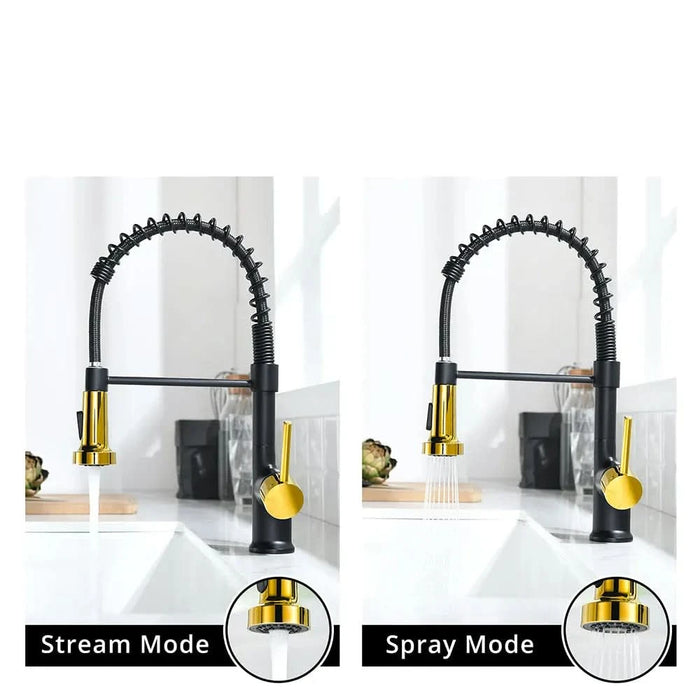 Commercial Black and Nickel Gold Kitchen Faucet with Pull Out Sprayer, Single Handle Single Lever Kitchen Sink Faucet - DTY Store