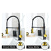Commercial Black and Nickel Gold Kitchen Faucet with Pull Out Sprayer, Single Handle Single Lever Kitchen Sink Faucet - DTY Store