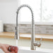 Commercial Brushed Nickel Kitchen Faucet with Pull out Sprayer, Single Handle Single Lever Kitchen Sink Faucet - DTY Store