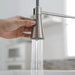 Commercial Brushed Nickel Kitchen Faucet with Pull out Sprayer, Single Handle Single Lever Kitchen Sink Faucet - DTY Store