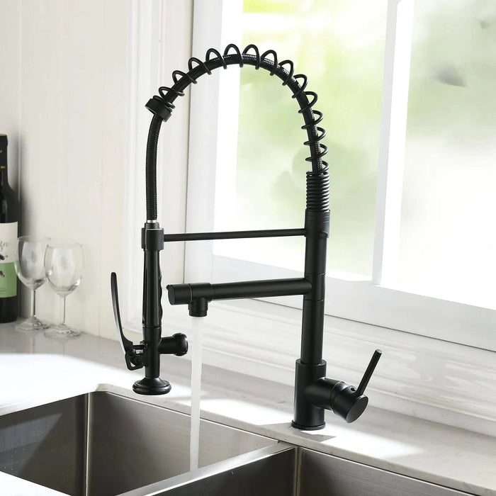Commercial Kitchen Faucet Pull Down Sprayer Black and Nickel,Single Handle Kitchen Sink Faucet Default -DTYStore