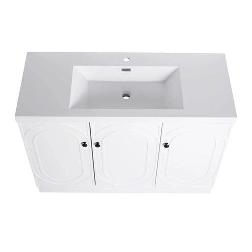 Contemporary Freestanding Bathroom Vanity with White Resin Sink & Soft-Close Cabinet Doors, Plywood, 48' Default -DTYStore