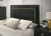 Contemporary Style 3pc Bedroom Set Queen Size Bed And 2x Nightstands Black Wood Gold Accent Legs Default -DTYStore