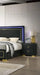 Contemporary Style 3pc Bedroom Set Queen Size Bed And 2x Nightstands Black Wood Gold Accent Legs Default -DTYStore