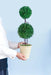 D7x22'H Two-Tiered Faux Boxwood Sphere Topiary in Cream Pot Default -DTYStore