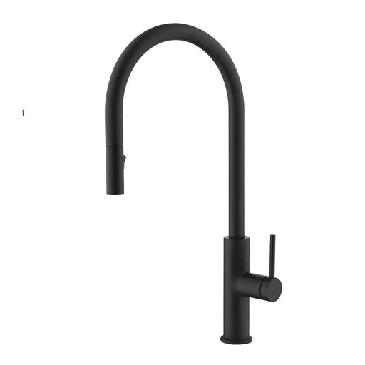 DAX Single Handle Pull Down Kitchen Faucet Matt Black Finish Default -DTYStore