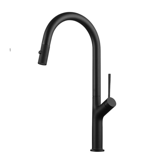 DAX Single Handle Pull Out Kitchen Faucet - Matt Black Finish Default -DTYStore