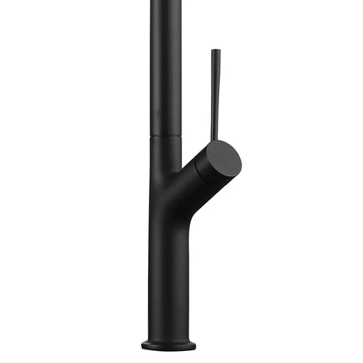 DAX Single Handle Pull Out Kitchen Faucet - Matt Black Finish Default -DTYStore