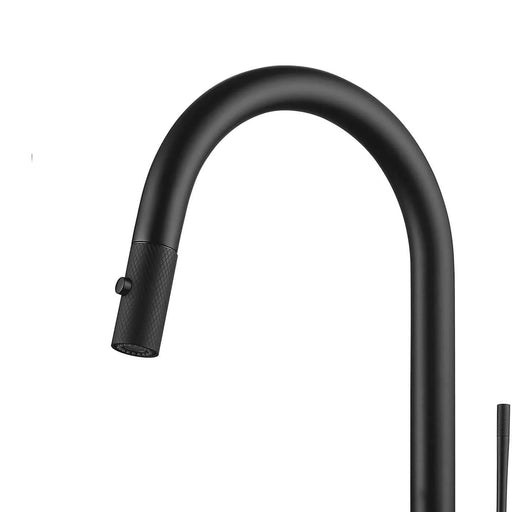 DAX Single Handle Pull Out Kitchen Faucet - Matt Black Finish Default -DTYStore