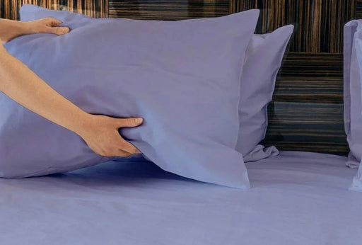 DTY Bedding® Premium 100% Bamboo Viscose 2-Piece Pillowcase set -DTYStore