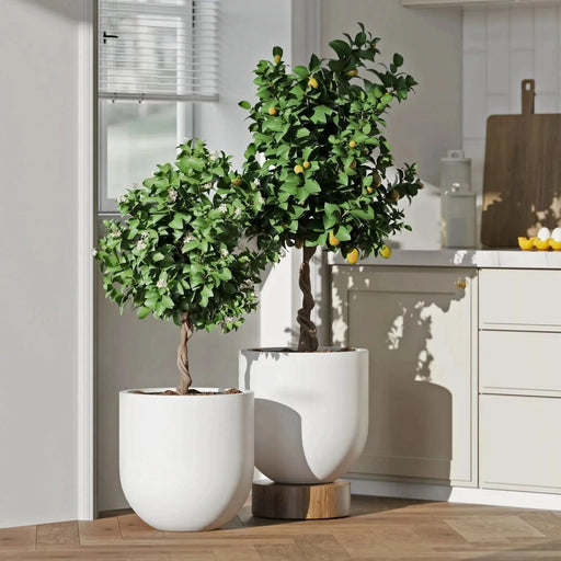 DTY Signature Mount Antero 1-piece Fiberstone Bullet Planter Large Black -DTYStore