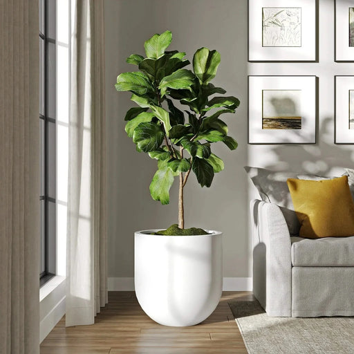 DTY Signature Mount Antero 1-piece Fiberstone Bullet Planter Large Black -DTYStore