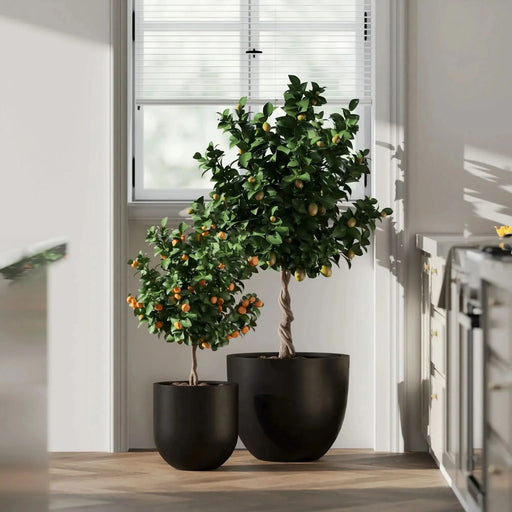 DTY Signature Mount Belford 1-piece Fiberstone Planter Small Black -DTYStore