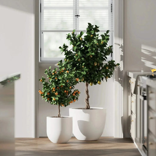 DTY Signature Mount Belford 1-piece Fiberstone Planter -DTYStore