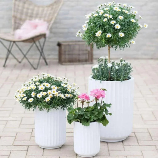 DTY Signature Mount Elbert 1-piece Fluted Fiberstone Planter White -DTYStore