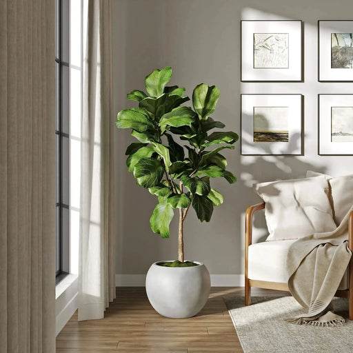 DTY Signature Mount Sherman 1-piece Fiberstone Planter Small Gray -DTYStore