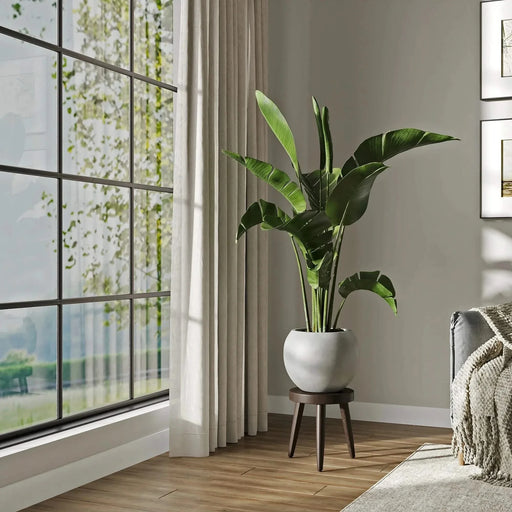 DTY Signature Mount Sherman 1-piece Fiberstone Planter Small White -DTYStore