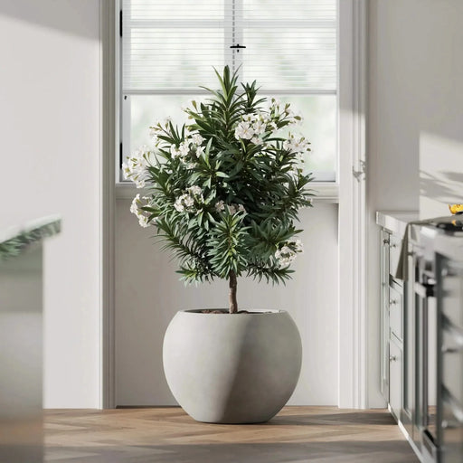 DTY Signature Mount Sherman 1-piece Fiberstone Planter Small Gray -DTYStore