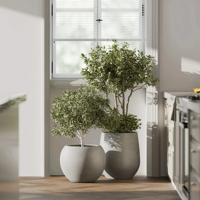 DTY Signature Mount Wilson 1-piece Fiberstone Planter -DTYStore