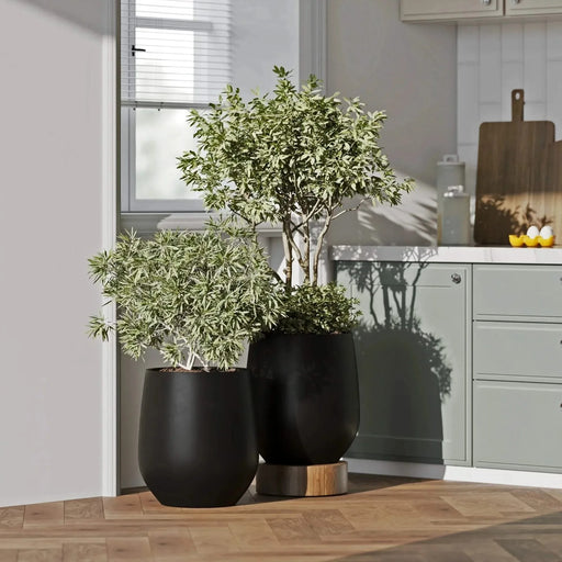 DTY Signature Mount Wilson 1-piece Fiberstone Planter -DTYStore