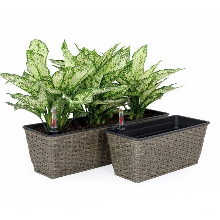 DTY Signature Set of 2 CATLEZA Rectangular Wicker Planters Gray -DTYStore