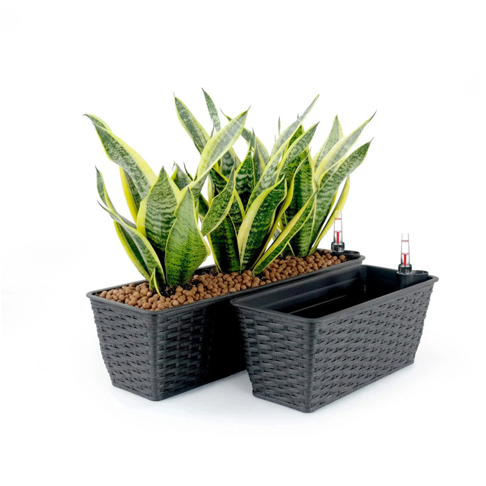 DTY Signature Set of 2 CATLEZA Rectangular Wicker Planters Gray -DTYStore