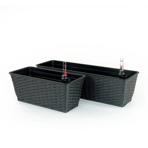 DTY Signature Set of 2 CATLEZA Rectangular Wicker Planters -DTYStore
