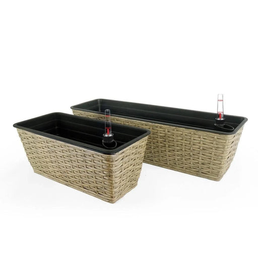DTY Signature Set of 2 CATLEZA Rectangular Wicker Planters -DTYStore